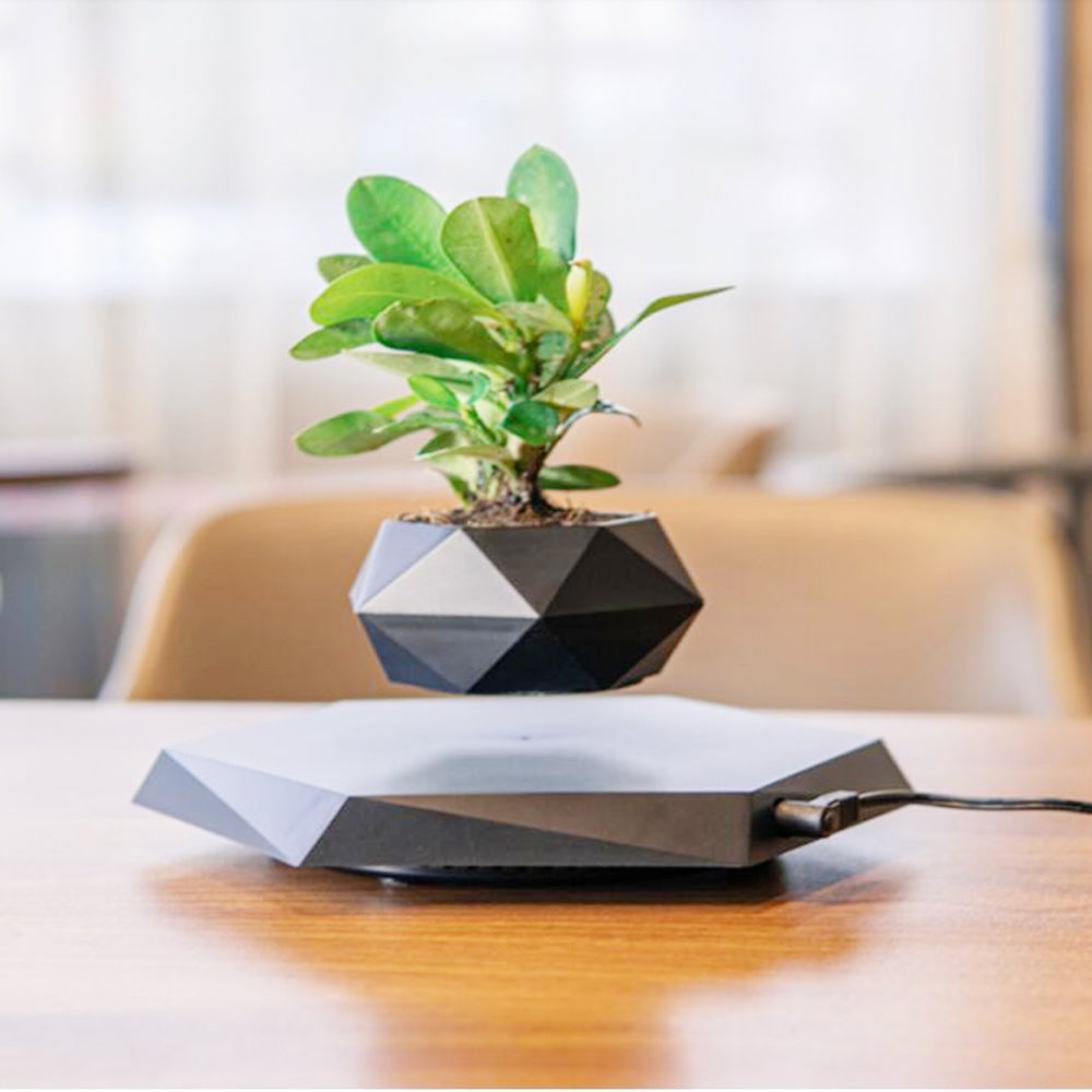 Floating Magnetic Levitating Flower Pot Bonsai