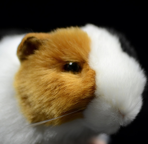 Motley Guinea Pig Doll Simulation Plush Toy