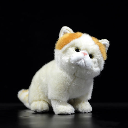 Exotic Shorthair Persian Cat Doll Plush Toy