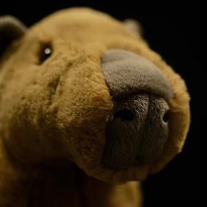 Simulation Capybara Plush Toy Doll