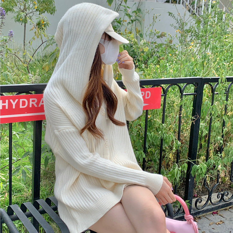 Niche Design Sense Simple Solid Color Loose Hooded Sweater