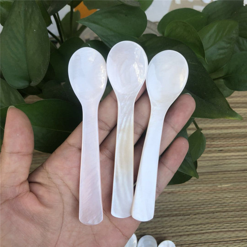 Conch Shell Children's Tableware Seasoning Spoon No Lacquer