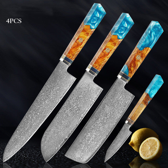 Damascus Stainless Steel Kitchen Knife