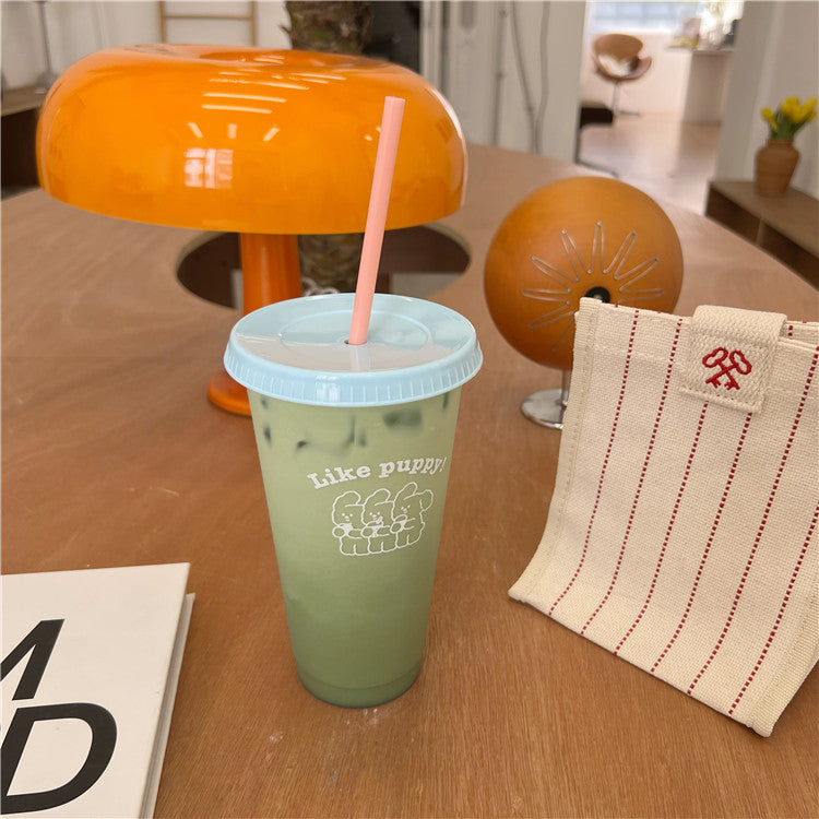 Niche Cartoon Summer Coffee Plastic Straw Cup