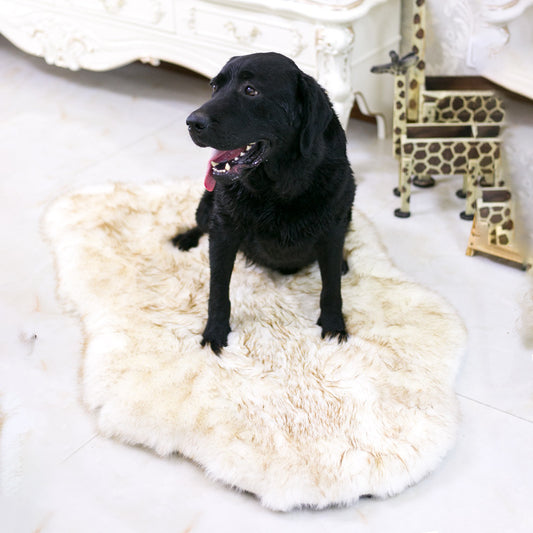 Warm Cat Litter For Four Seasons Universal Leather Plush Dog Mat