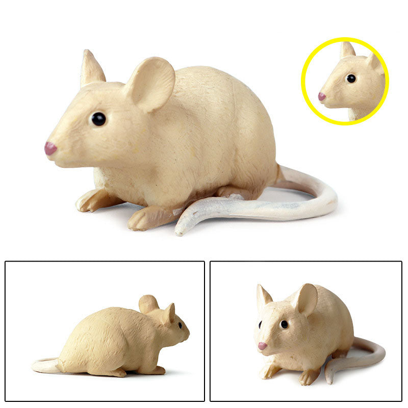 Solid Simulation Wild Animal Model Toy Mini Mouse Mouse Hamster Children's Early Education Doll Ornaments